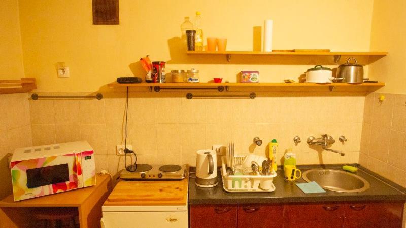 Private Cozy Room 1 With Shared Kitchen In Appartment, Downtown Belgrád Kültér fotó